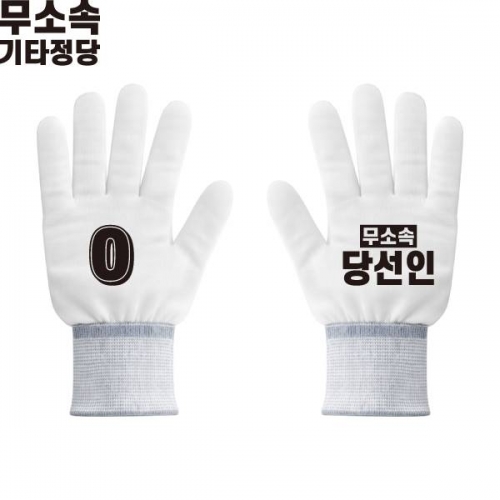 2026 지방선거 무소속 선거 장갑1