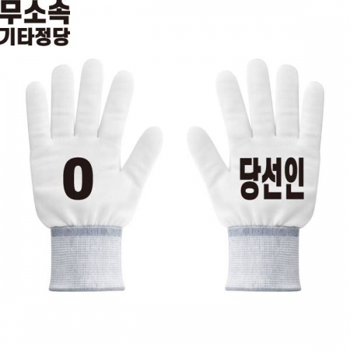 2026 지방선거 무소속 선거 장갑2