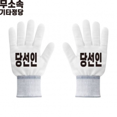 2026 지방선거 무소속 선거 장갑3