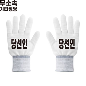 2026 지방선거 무소속 선거 장갑3