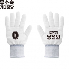 2026 지방선거 무소속 선거 장갑4