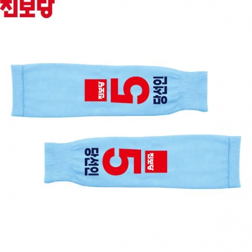 2026 지방선거 진보당 선거 팔토시(쿨토시) 소라색1