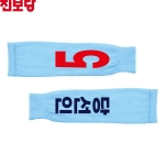 2026 지방선거 진보당 선거 팔토시(쿨토시) 소라색1