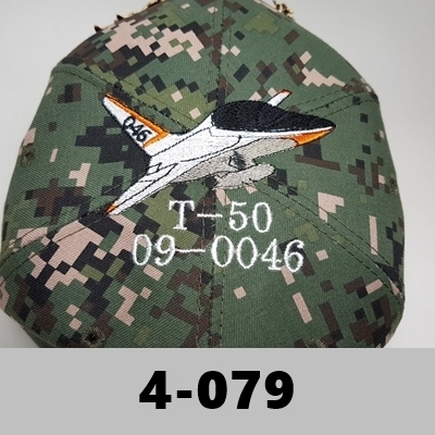 4-079 공군,비행기,T-50 항공기1 전투기