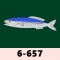 6-657 꽁치(생선) 물고기
