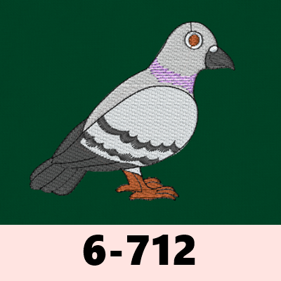 6-712 비둘기3 새 조류