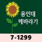 7-1299 해바라기2 꽃