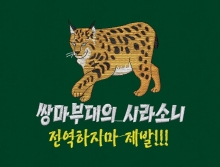 10-45 시라소니 스라소니 호랑이