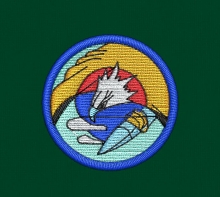 10-53 159전투정찰비행대대