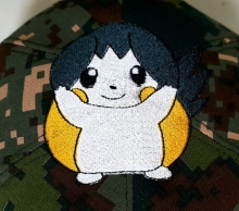 10-70 포켓몬(에몽가 애몽가)