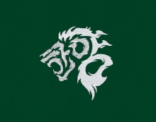 10-148 한양대 사자