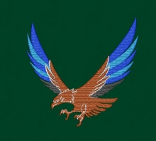 10-296 연세대 독수리