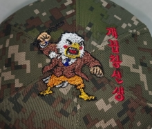 10-335 화난 독수리