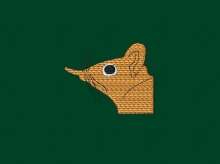 10-350 코끼리땃쥐