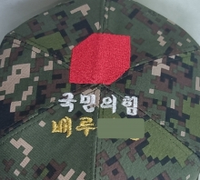 10-375 국민의 힘 국민의힘 국힘