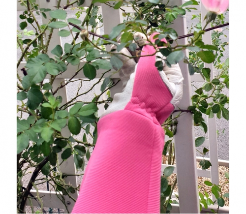 긴목 장미장갑 핑크