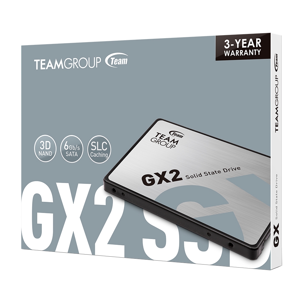 TEAMGROUP GX2 256GB