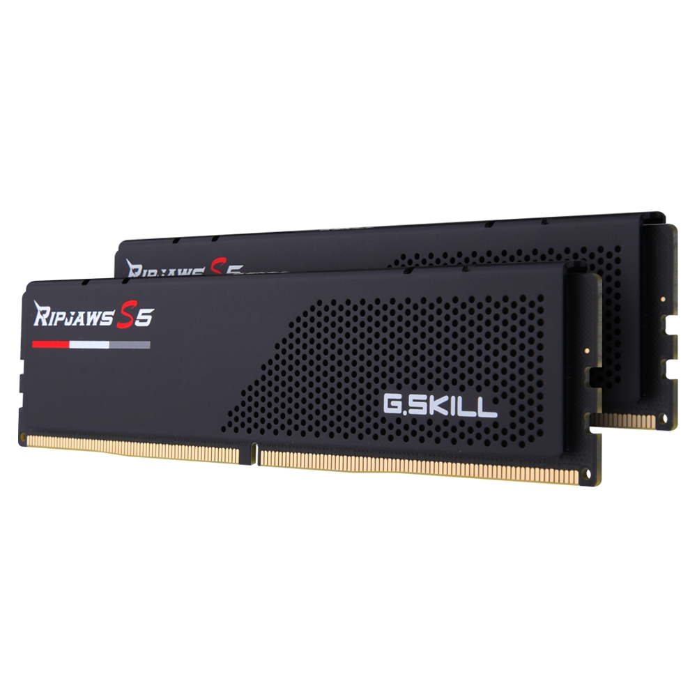G.SKILL DDR5 6000 CL30 RIPJAWS S5 J 블랙 패키지 32GB(16Gx2)