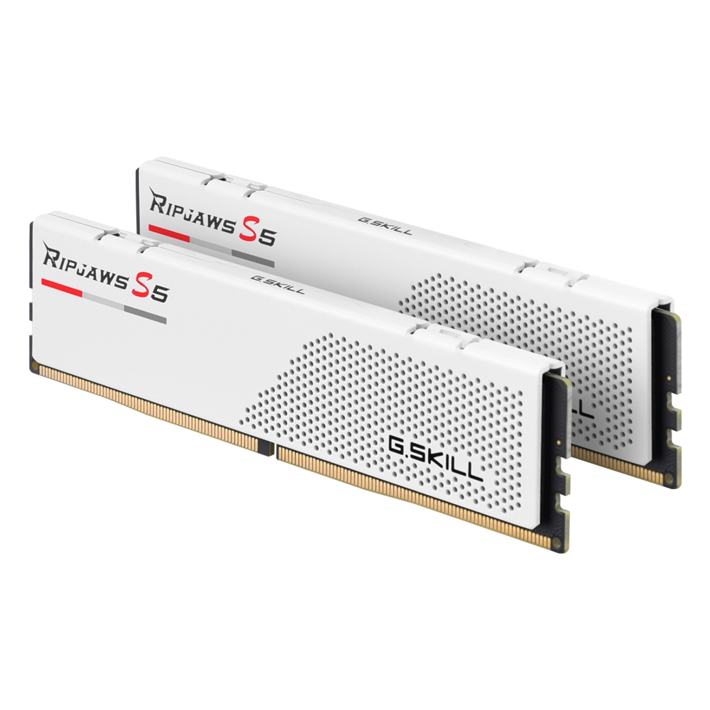 G.SKILL DDR5 6000 CL30 RIPJAWS S5 J 화이트 패키지 64GB(32Gx2)