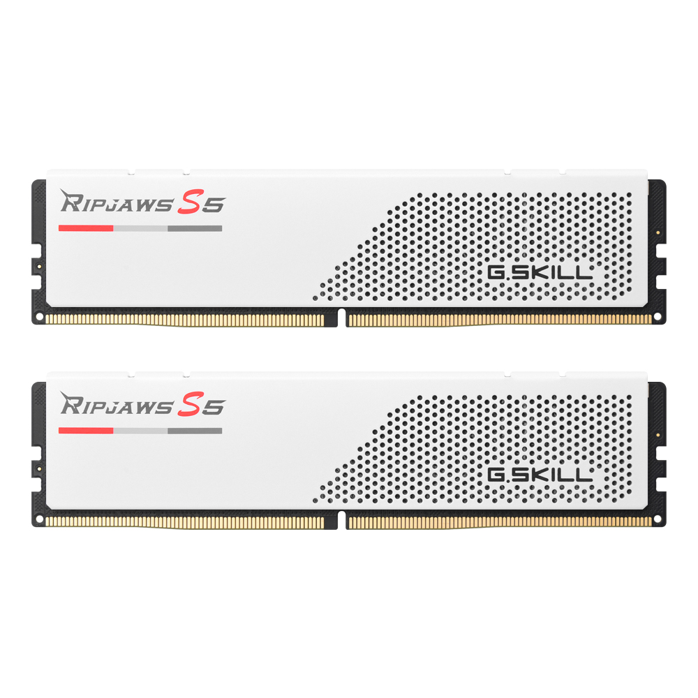 (4는4월) G.SKILL DDR5-5600 CL30 RIPJAWS S5 J 화이트 패키지 (32GB(16Gx2))
