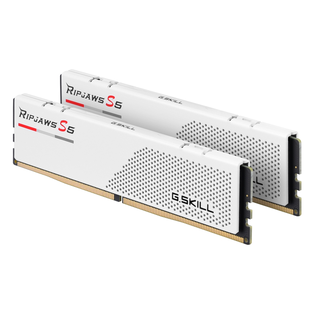(4는4월) G.SKILL DDR5-5600 CL30 RIPJAWS S5 J 화이트 패키지 (32GB(16Gx2))