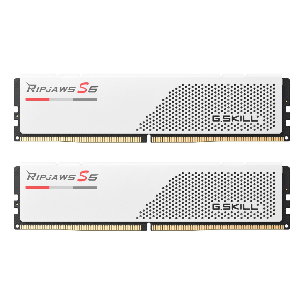 (4는4월) G.SKILL DDR5-6000 CL30 RIPJAWS S5 J 화이트 패키지 (32GB(16Gx2)