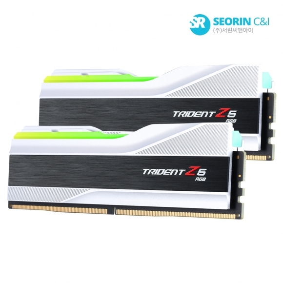[행사] G.SKILL DDR5-5200 CL40 TRIDENT Z5 RGB J 실버 패키지 32GB(16Gx2)