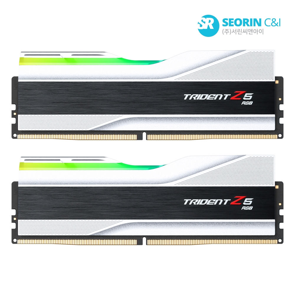 [행사] G.SKILL DDR5-5200 CL40 TRIDENT Z5 RGB J 실버 패키지 32GB(16Gx2)