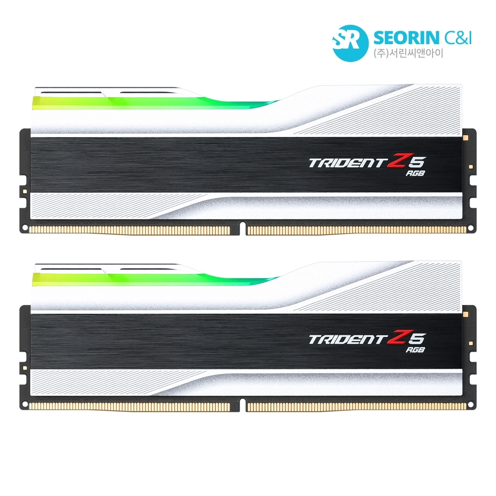 [행사] G.SKILL DDR5-5200 CL40 TRIDENT Z5 RGB J 실버 패키지 32GB(16Gx2)