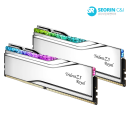 지스킬 DDR5-7200 CL36 TRIDENT Z5 ROYAL 실버 패키지 (48GB(24Gx2))