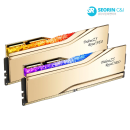 지스킬 DDR5-6400 CL30 TRIDENT Z5 ROYAL NEO 골드 (32GB(16Gx2))