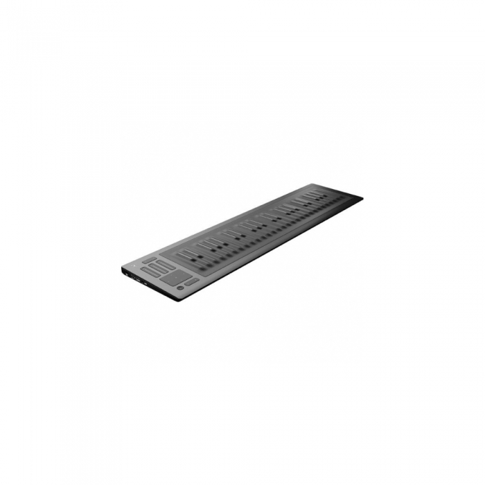 ROLI Seaboard RISE 49 / 롤리 / 씨보드 라이즈 49 / 키보드 입고지연