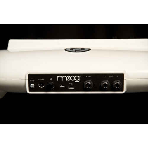 Moog Theremini 무그