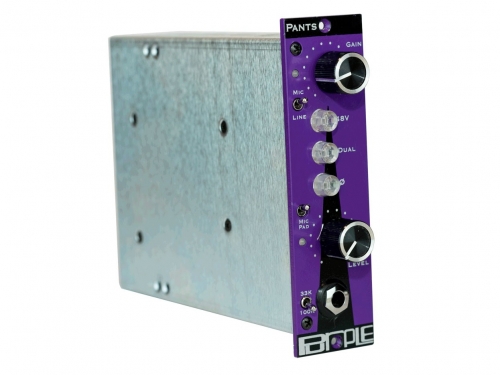 Purple Audio - Pants