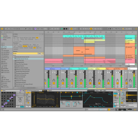 Ableton Live 12 Suite 에이블톤 라이브