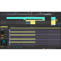 Ableton Live 12 Suite 에이블톤 라이브