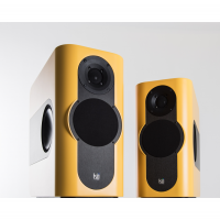 Kii Audio Kii Three Custom Color 1조 2통