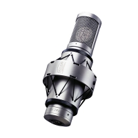 Brauner VM1 / TUBE 마이크