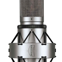 Brauner VM1 (Pure Cardioid) / TUBE 마이크