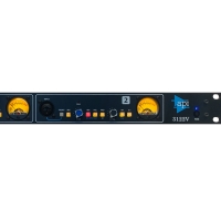 API 3122V 2-Channel Mic Preamp / 2채널 마이크 프리앰프 입고지연