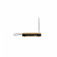 Moog Etherwave Theremin 무그