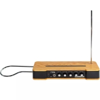 Moog Etherwave Theremin 무그