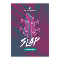 UJAM SLAP