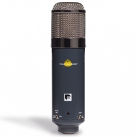 Chandler Limited TG Microphone / 챈들러 / 수입정품