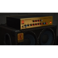 Softube Eden WT-800 Bass Amp 소프튜브