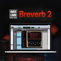 Overloud Breverb 2 오버라우드 플러그인 (전자배송)