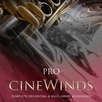 Cinesamples CineWinds Pro