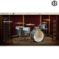 XLN Audio Vintage Dead ADpak 드럼 가상악기 엑스엘엔오디오 빈티지데드