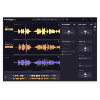 Synchro Arts VocAlign 6 Pro Upgrade from VocAlign Ultra, VocAlign Project 5, VocAlign Pro 4 VocAlign Project 3