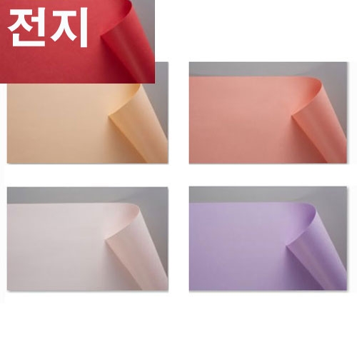 전지 레인보우카드지(1매)205g (전지)